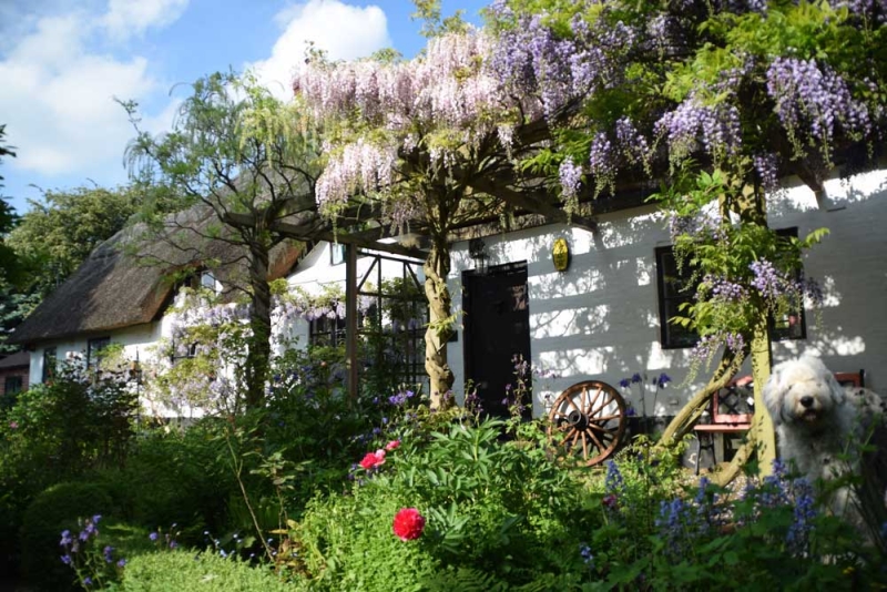 Oak Cottage